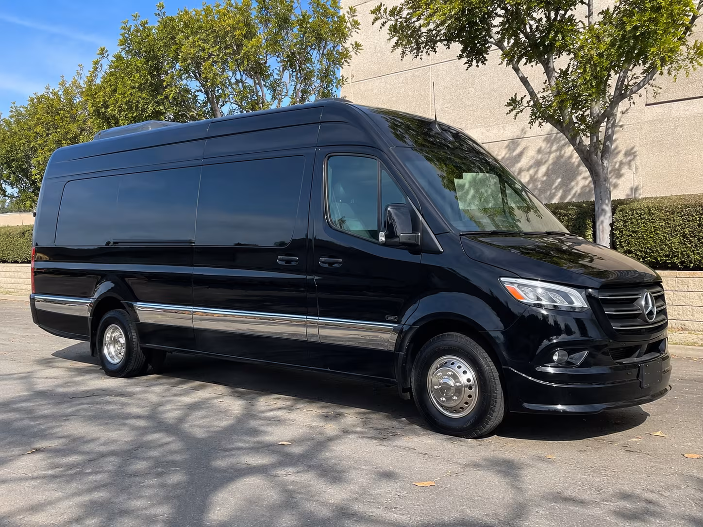 14 Passenger Sprinter Limo