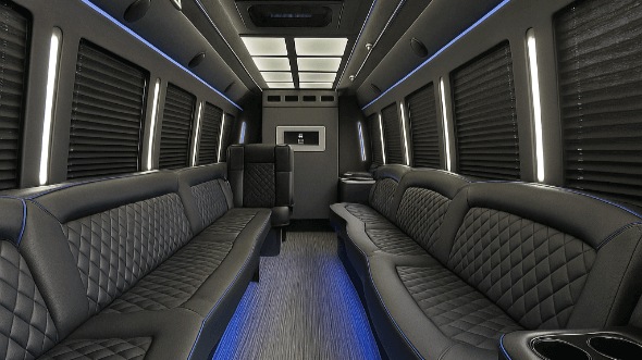 sugar land 20 passenger party bus interior