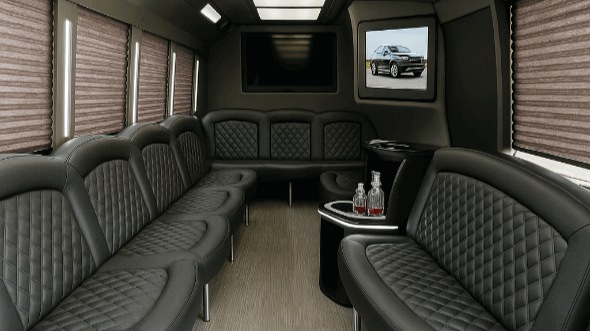 sugar land 20 passenger party bus rental