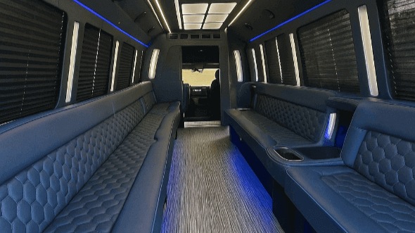 sugar land 50 passenger party bus rental